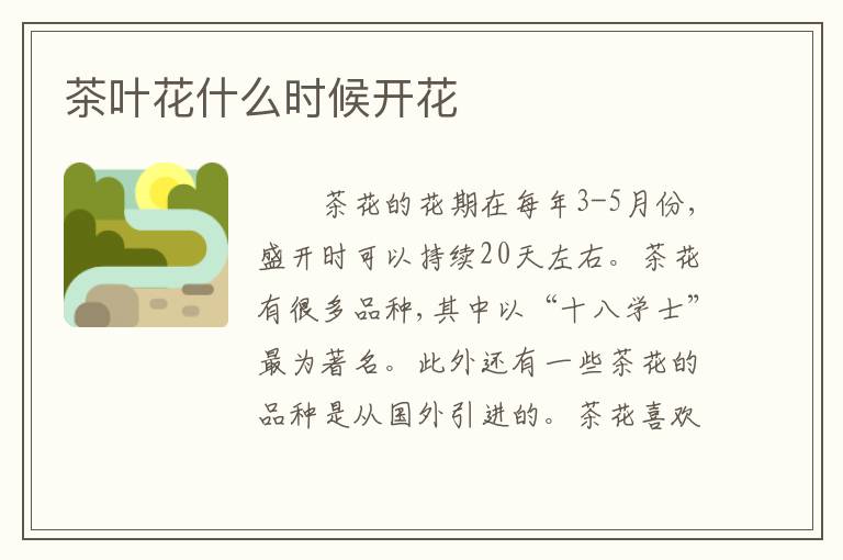 茶叶花什么时候开花
