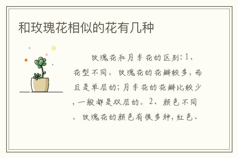 和玫瑰花相似的花有几种