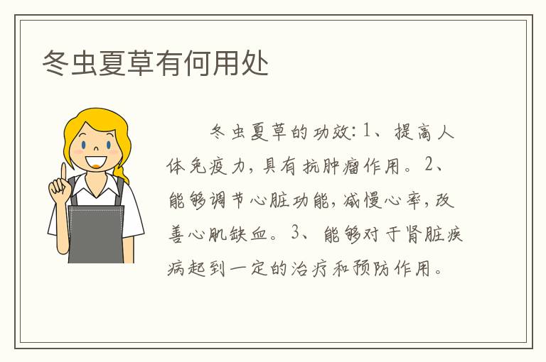 冬虫夏草有何用处