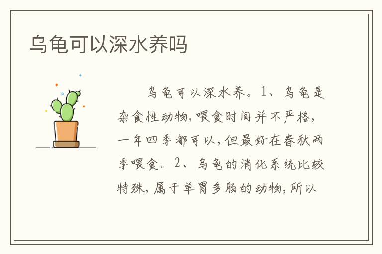 乌龟可以深水养吗