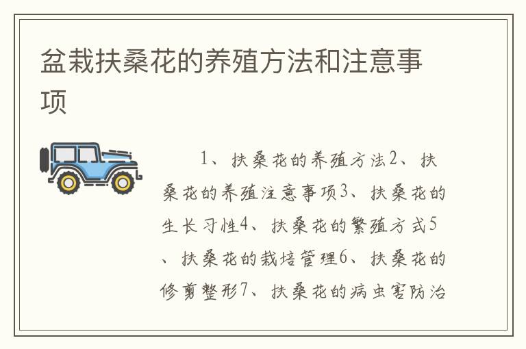 盆栽扶桑花的养殖方法和注意事项