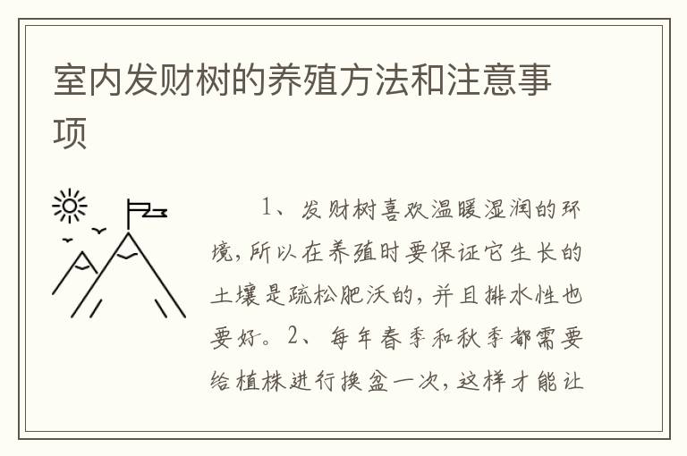 室内发财树的养殖方法和注意事项