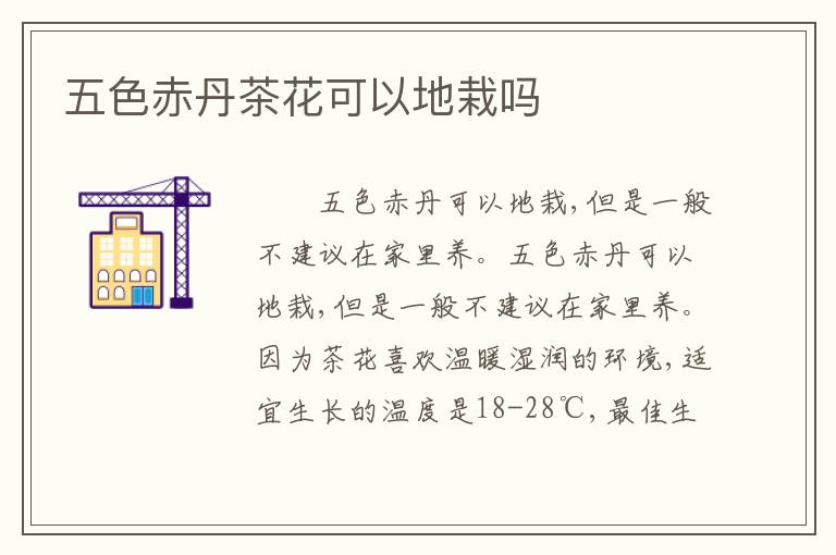 五色赤丹茶花可以地栽吗