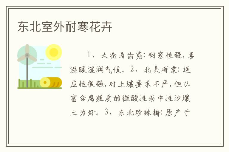 东北室外耐寒花卉