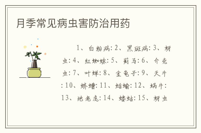 月季常见病虫害防治用药