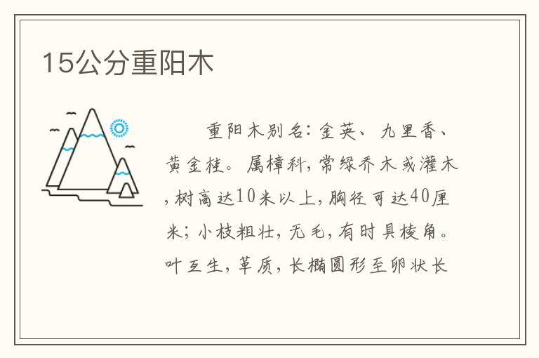 15公分重阳木