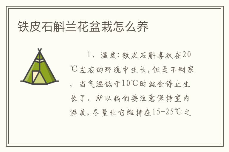 铁皮石斛兰花盆栽怎么养