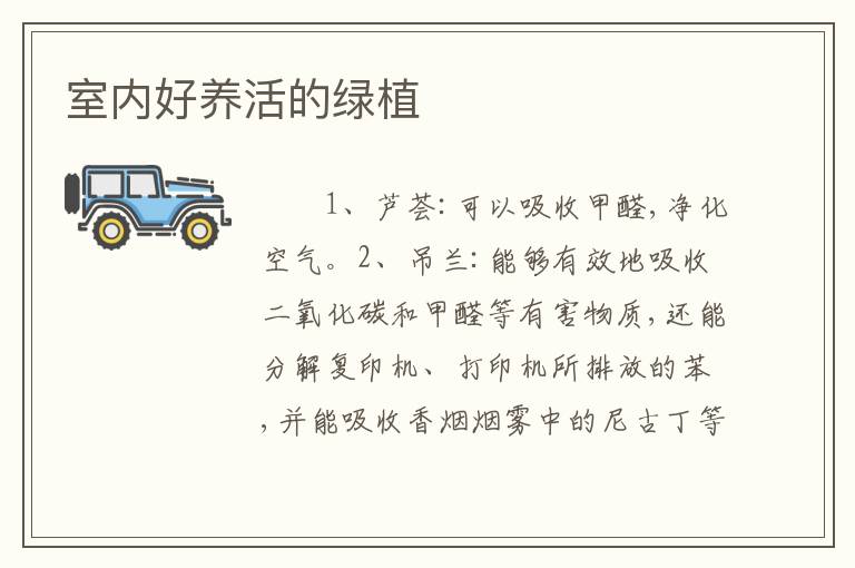 室内好养活的绿植