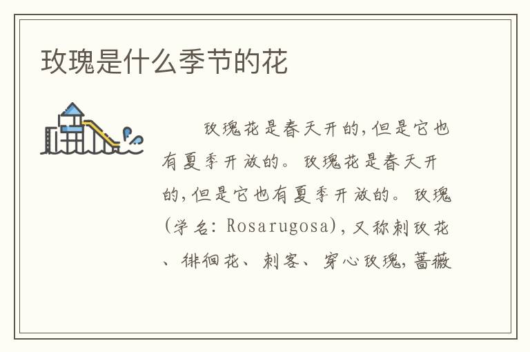 玫瑰是什么季节的花
