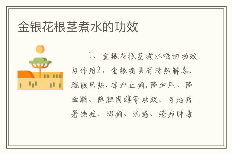 金银花根茎煮水的功效