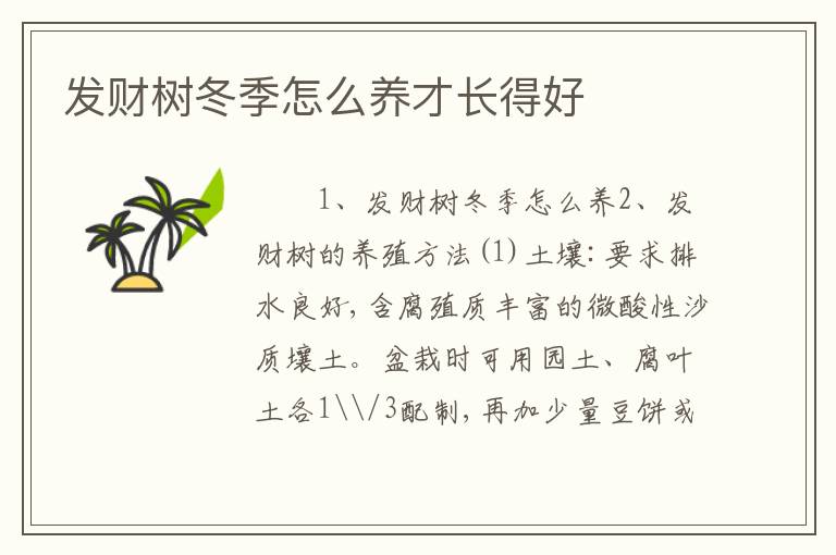 发财树冬季怎么养才长得好