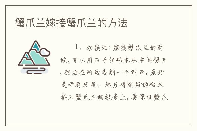 蟹爪兰嫁接蟹爪兰的方法