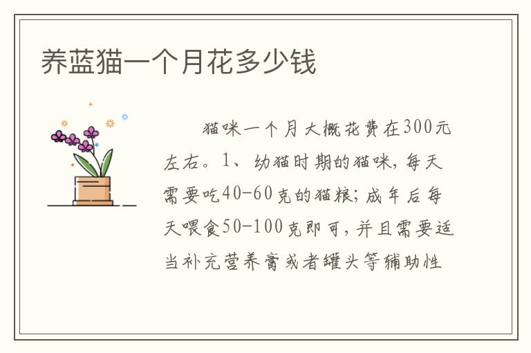 养蓝猫一个月花多少钱