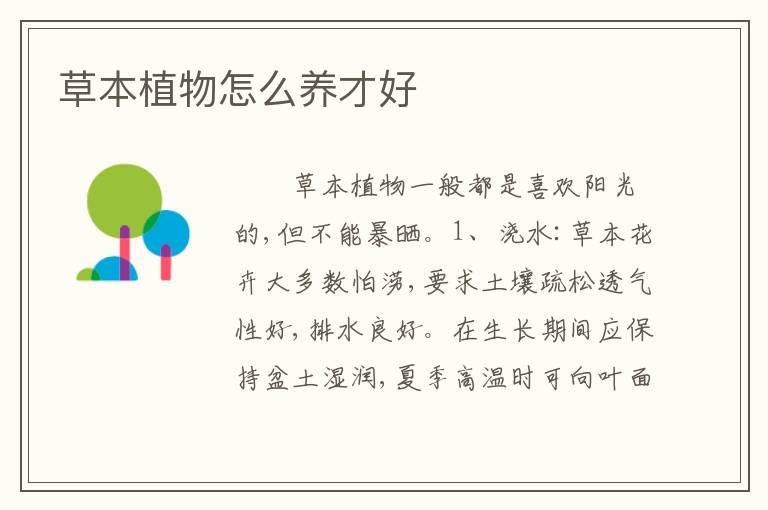 草本植物怎么养才好