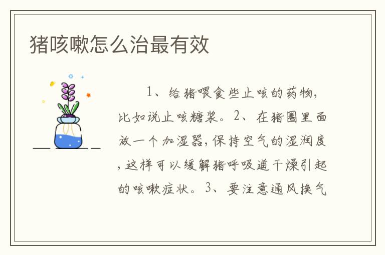 猪咳嗽怎么治最有效