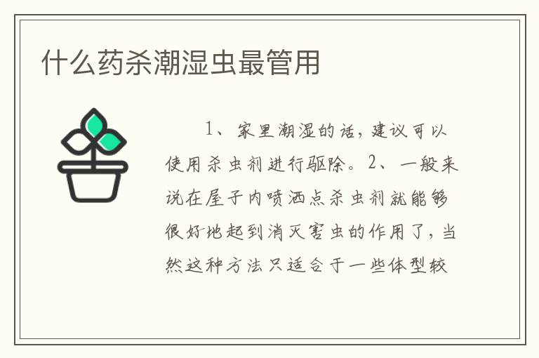 什么药杀潮湿虫最管用