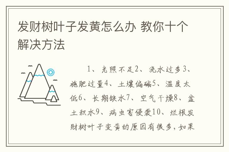 发财树叶子发黄怎么办 教你十个解决方法