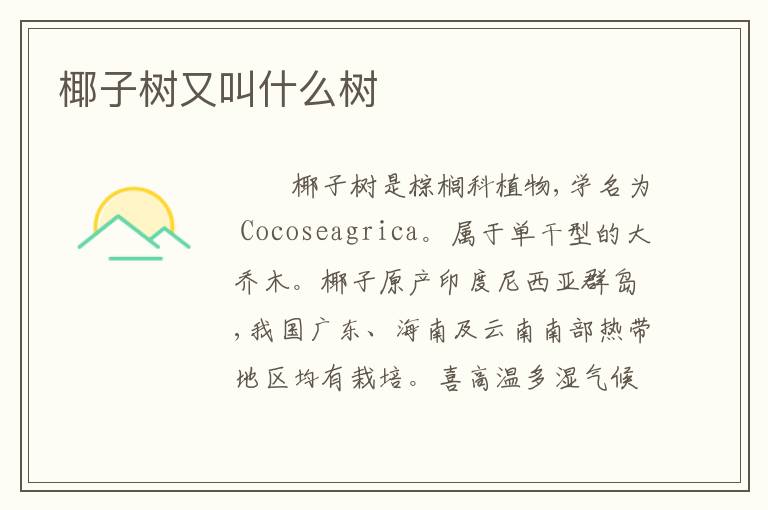 椰子树又叫什么树