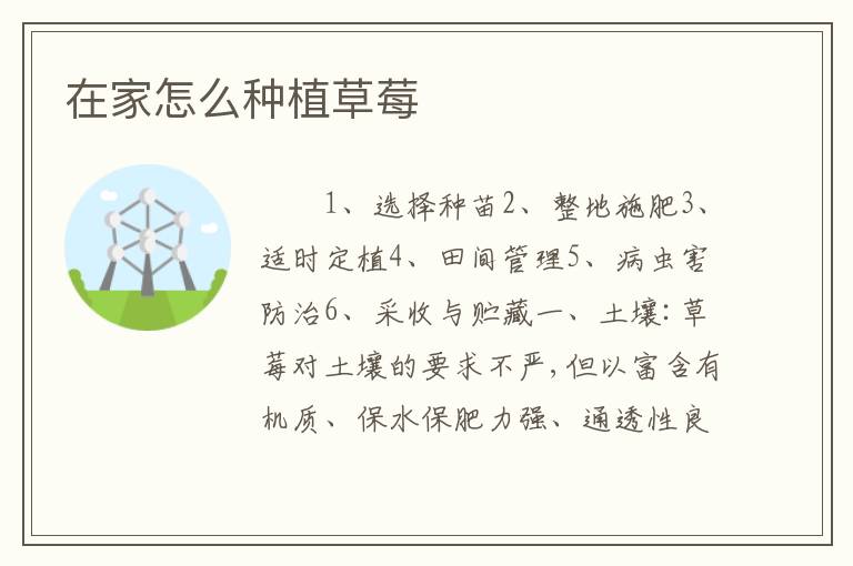 在家怎么种植草莓