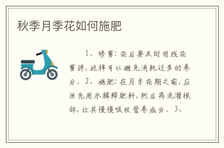 秋季月季花如何施肥
