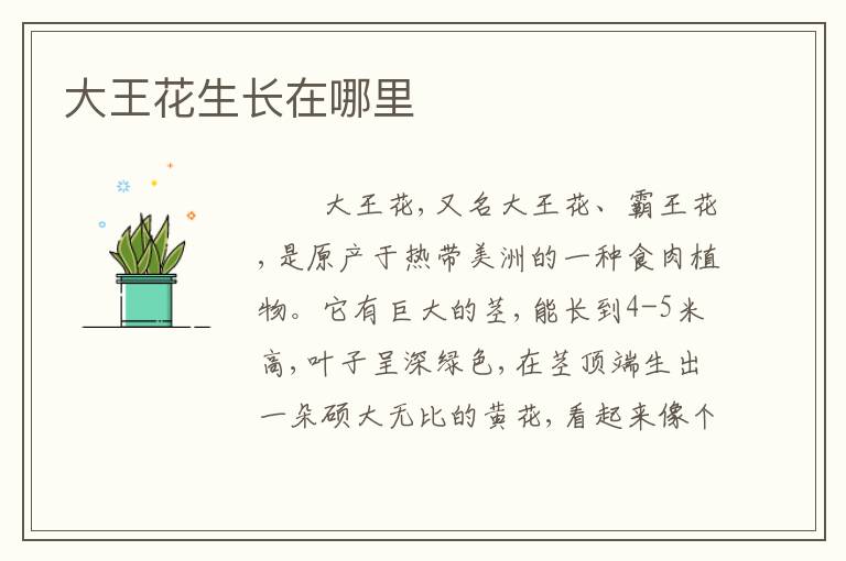 大王花生长在哪里