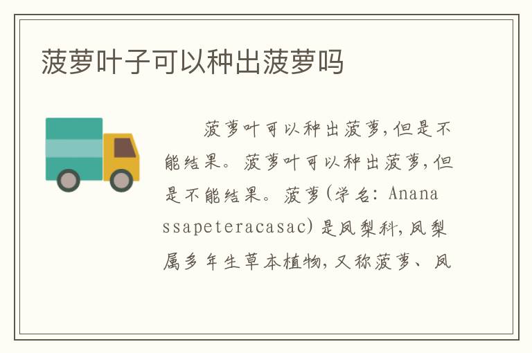 菠萝叶子可以种出菠萝吗