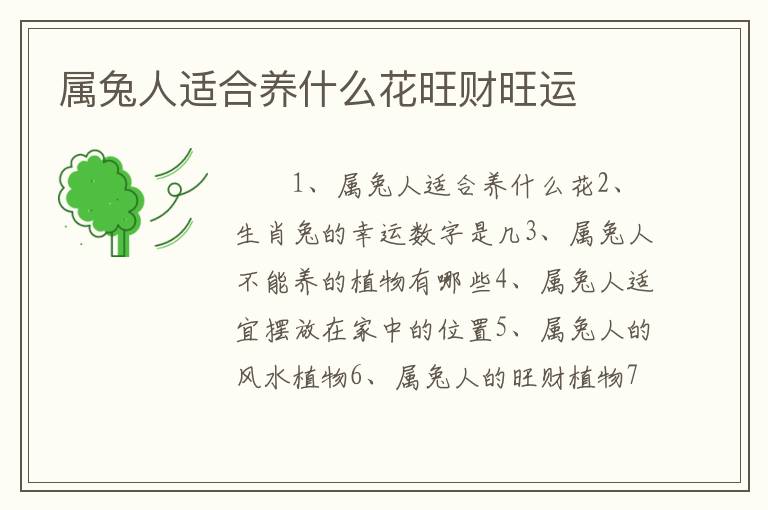 属兔人适合养什么花旺财旺运